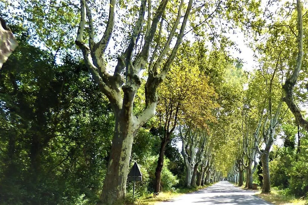 Апартаменты Sejour Arles-Camargue Pour Tous- Wifi Parking 0*, Арль Франция